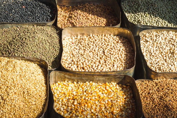 The Matel International - WhatsApp Image 2025-09-29 at 10.23.47 AM